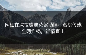 网红在深夜遭遇花絮动情，蜜桃传媒全网炸锅，详情直击