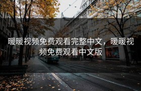 暖暖视频免费观看完整中文，暖暖视频免费观看中文版