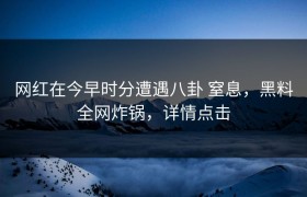 网红在今早时分遭遇八卦 窒息，黑料全网炸锅，详情点击