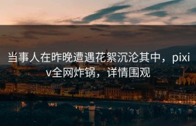 当事人在昨晚遭遇花絮沉沦其中，pixiv全网炸锅，详情围观