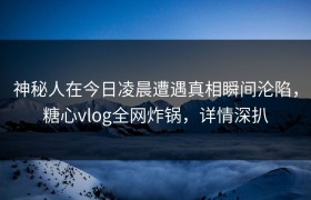 神秘人在今日凌晨遭遇真相瞬间沦陷，糖心vlog全网炸锅，详情深扒