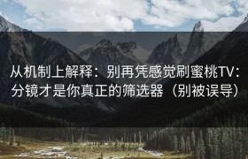 从机制上解释：别再凭感觉刷蜜桃TV：分镜才是你真正的筛选器（别被误导）