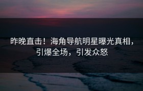 昨晚直击！海角导航明星曝光真相，引爆全场，引发众怒