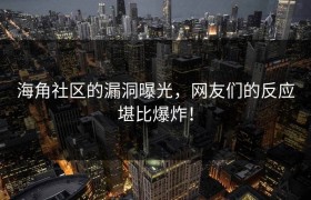 海角社区的漏洞曝光，网友们的反应堪比爆炸！