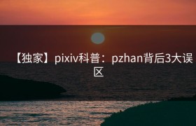 【独家】pixiv科普：pzhan背后3大误区