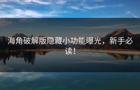 海角破解版隐藏小功能曝光，新手必读！