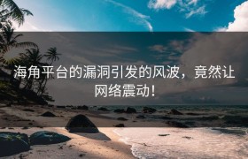 海角平台的漏洞引发的风波，竟然让网络震动！