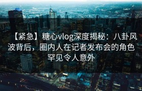 【紧急】糖心vlog深度揭秘：八卦风波背后，圈内人在记者发布会的角色罕见令人意外