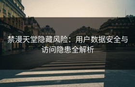禁漫天堂隐藏风险：用户数据安全与访问隐患全解析