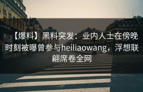 【爆料】黑料突发：业内人士在傍晚时刻被曝曾参与heiliaowang，浮想联翩席卷全网
