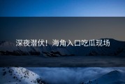 深夜潜伏！海角入口吃瓜现场