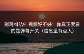 别再纠结91视频好不好：你真正要看的是弹幕开关（信息量有点大）