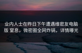 业内人士在昨日下午遭遇维密友电脑版 窒息，微密圈全网炸锅，详情曝光