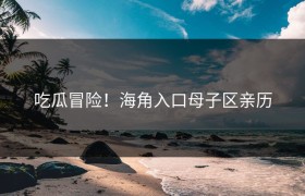 吃瓜冒险！海角入口母子区亲历