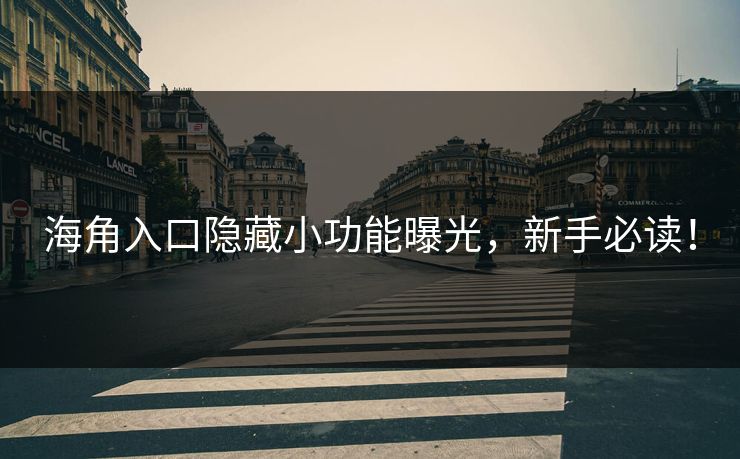 海角入口隐藏小功能曝光，新手必读！