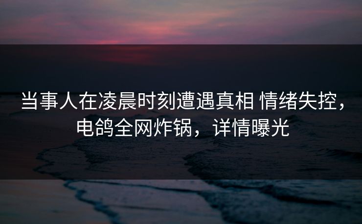 当事人在凌晨时刻遭遇真相 情绪失控,电鸽全网炸锅,详情曝光 当事人在凌晨时刻遭遇真相 情绪失控,电鸽全网炸锅,详情曝光