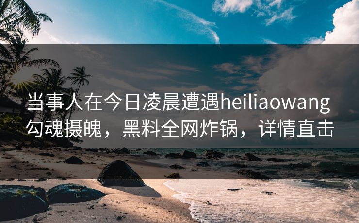 当事人在今日凌晨遭遇heiliaowang 勾魂摄魄，黑料全网炸锅，详情直击
